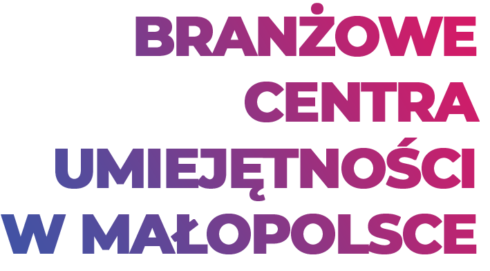 Branżowe Centra Umiejętności w Małopolsce